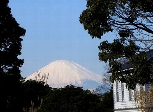 e0143690_750186.jpg