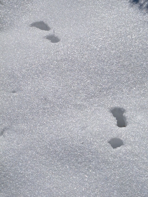 a0199297_1649337.jpg