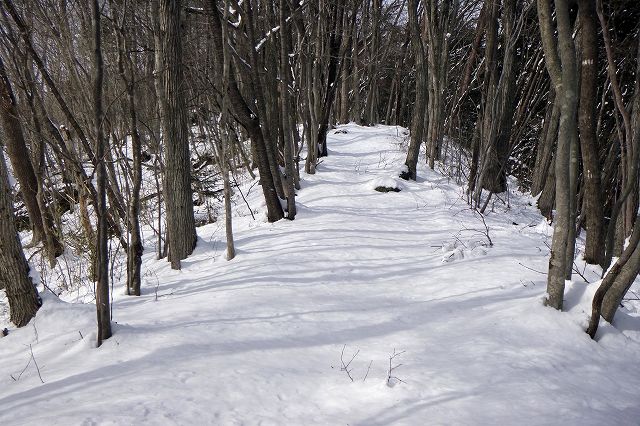 e0137200_22162744.jpg