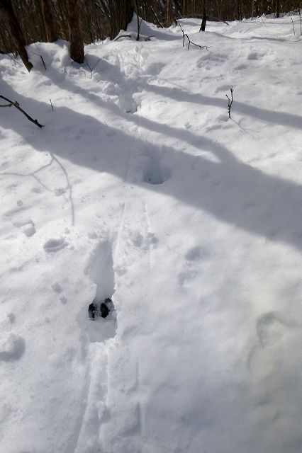 e0137200_22163976.jpg