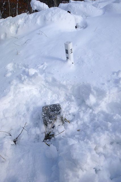 e0137200_22165110.jpg