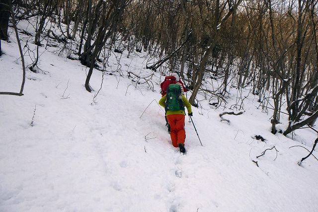 e0137200_22191355.jpg