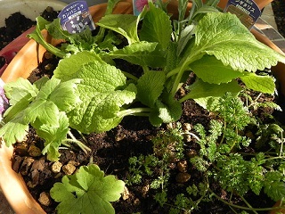 c0152002_18572183.jpg