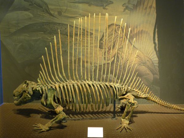 c0164709_07351579.jpg