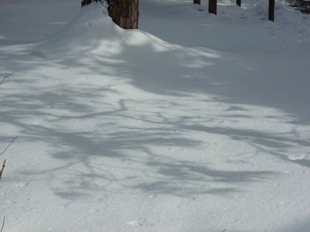 e0135219_13193272.jpg
