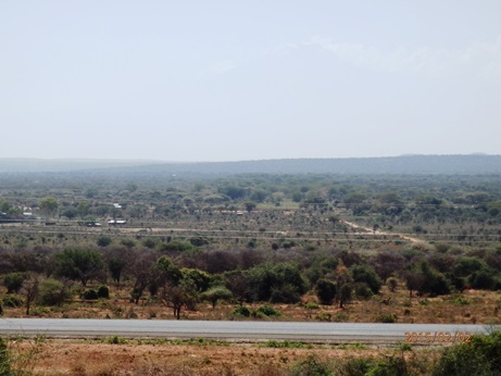 b0124020_18251985.jpg
