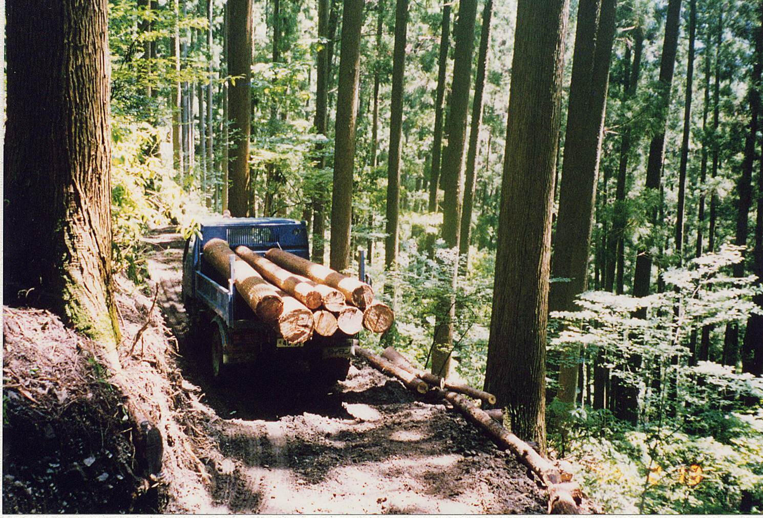 e0002820_08595111.jpg
