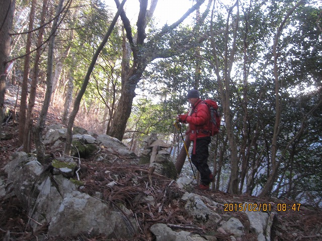 f0193521_14214288.jpg