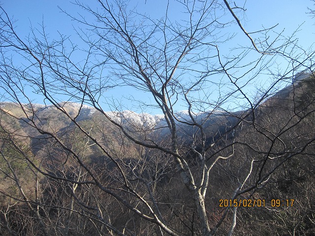 f0193521_14351339.jpg