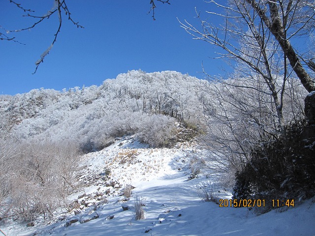 f0193521_15201122.jpg