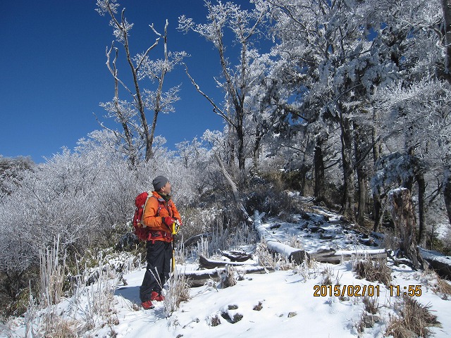 f0193521_15203362.jpg