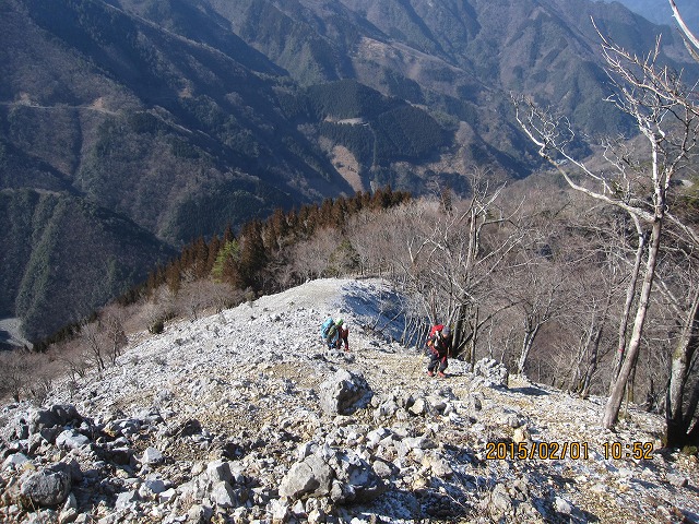 f0193521_1535876.jpg
