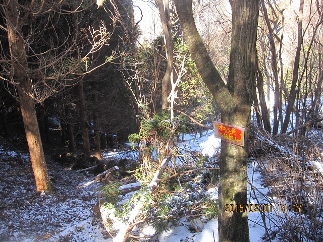 f0193521_158256.jpg