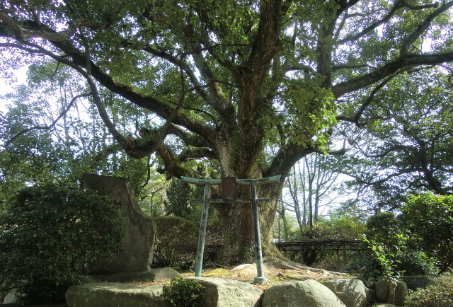 c0095424_15541065.jpg