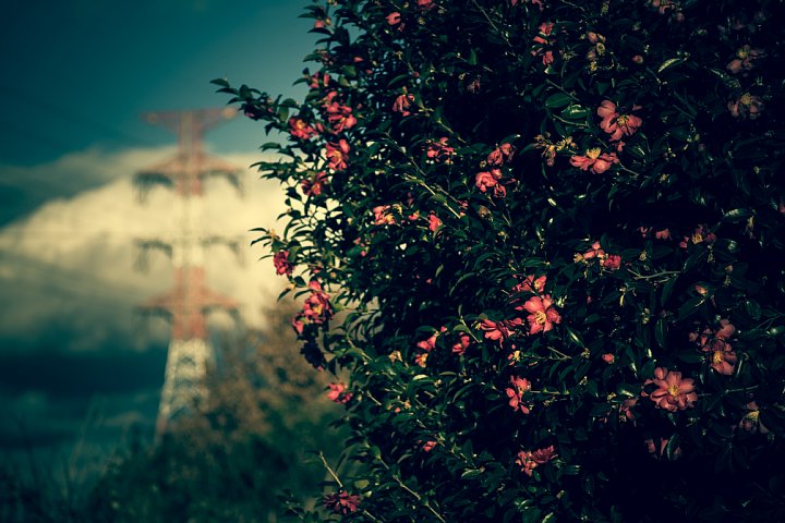 b0134829_22233991.jpg