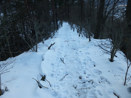 f0304030_22471130.jpg