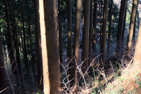 b0281732_13305491.jpg