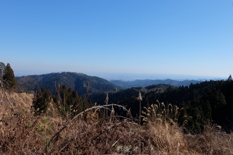 b0281732_1331856.jpg