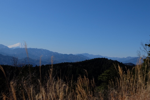 b0281732_13331892.jpg