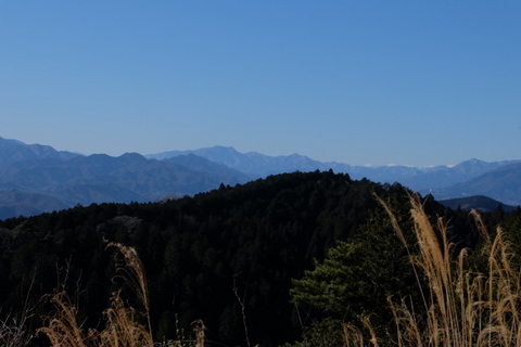 b0281732_1333957.jpg