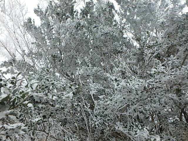 f0334143_19203280.jpg