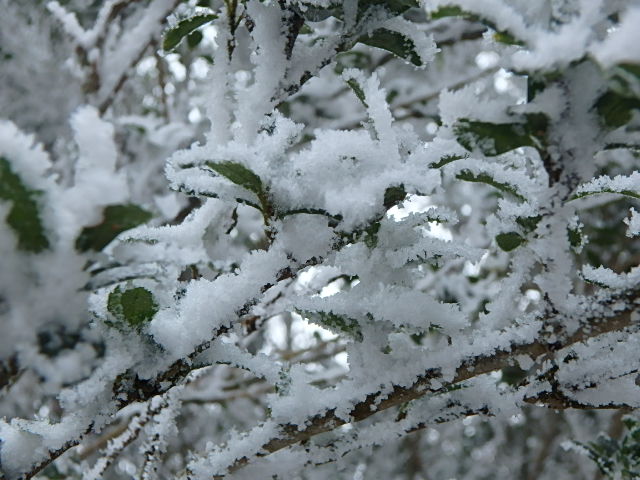 f0334143_19203820.jpg