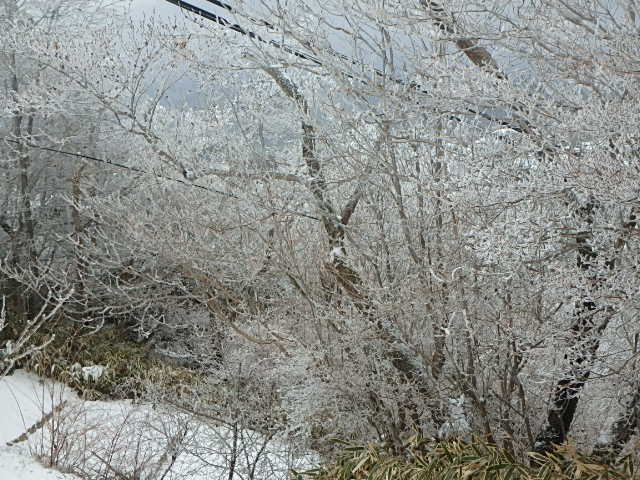 f0334143_19204476.jpg