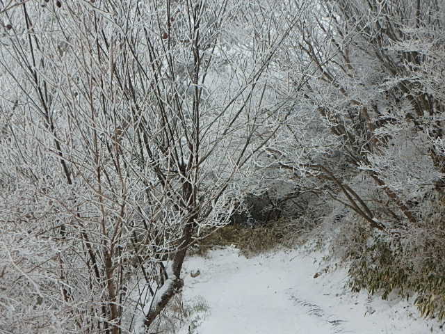 f0334143_19205022.jpg