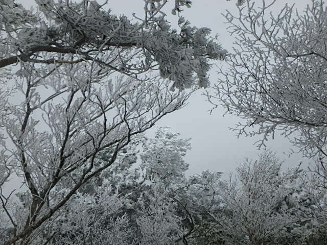 f0334143_1921157.jpg