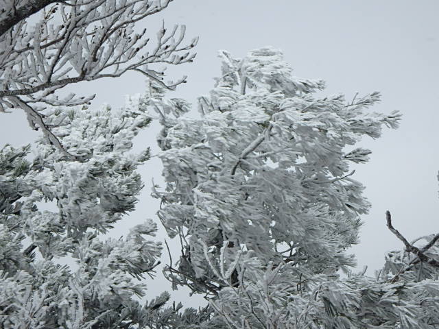 f0334143_1921746.jpg