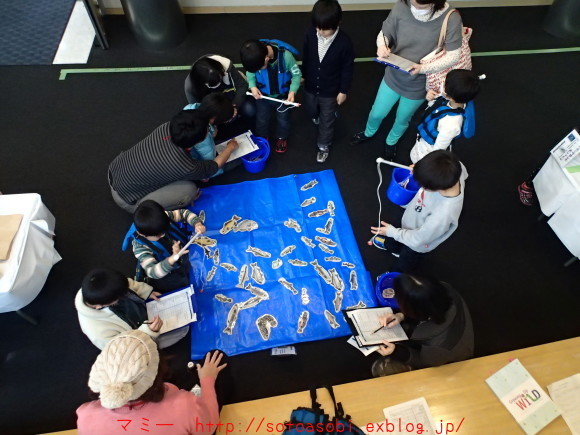 d0105749_21192679.jpg