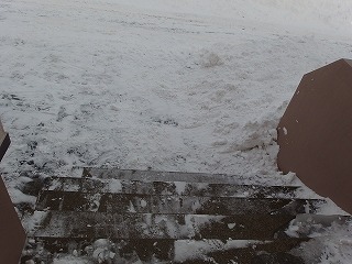 e0004756_20115117.jpg