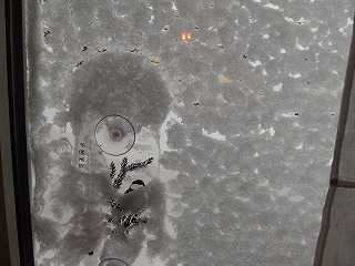 e0004756_2074944.jpg