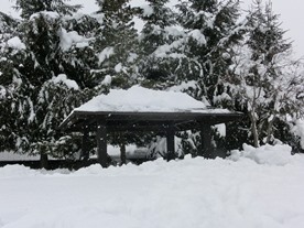 b0218664_19565646.jpg