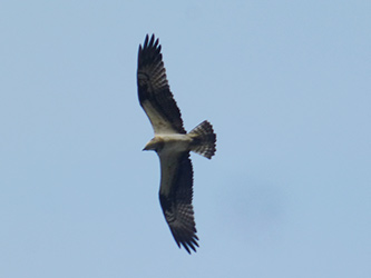 b0057675_20445110.jpg