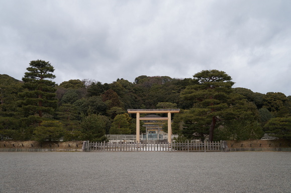 d0176186_1583193.jpg