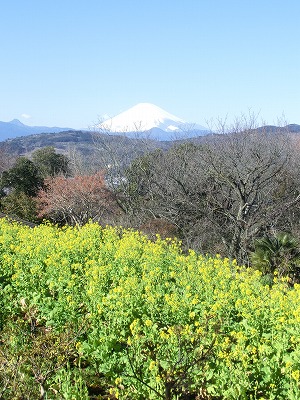 e0123587_20102372.jpg