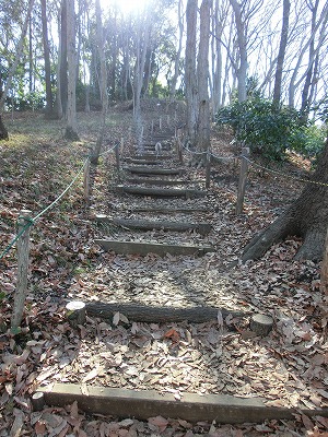 e0123587_2015496.jpg