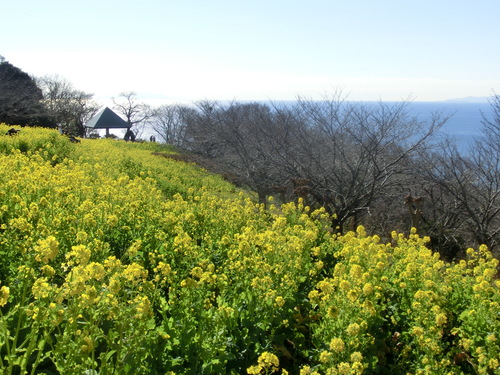 e0123587_2074415.jpg