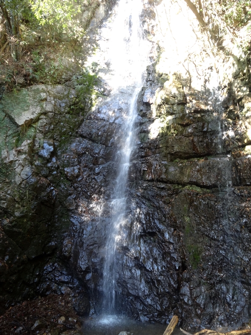 d0212491_14175910.jpg