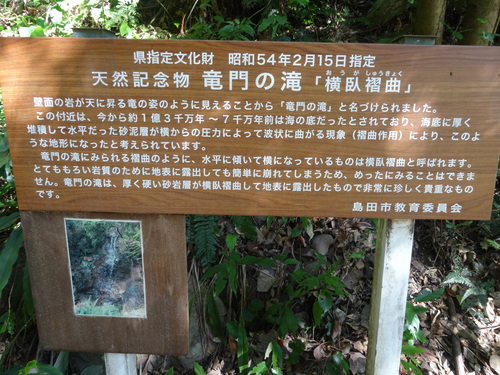 d0212491_1475346.jpg