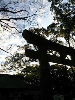 a0216805_22234429.jpg
