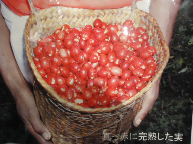 b0182709_15484591.jpg