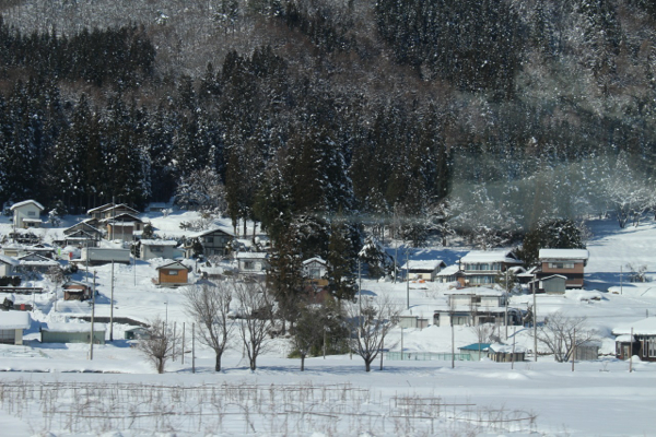 f0018027_6592227.jpg