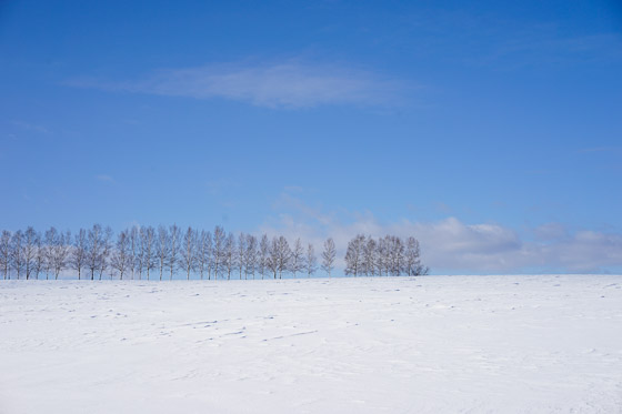 e0025030_2010310.jpg