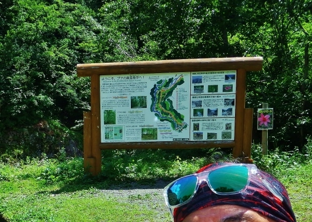 b0321833_23001007.jpg