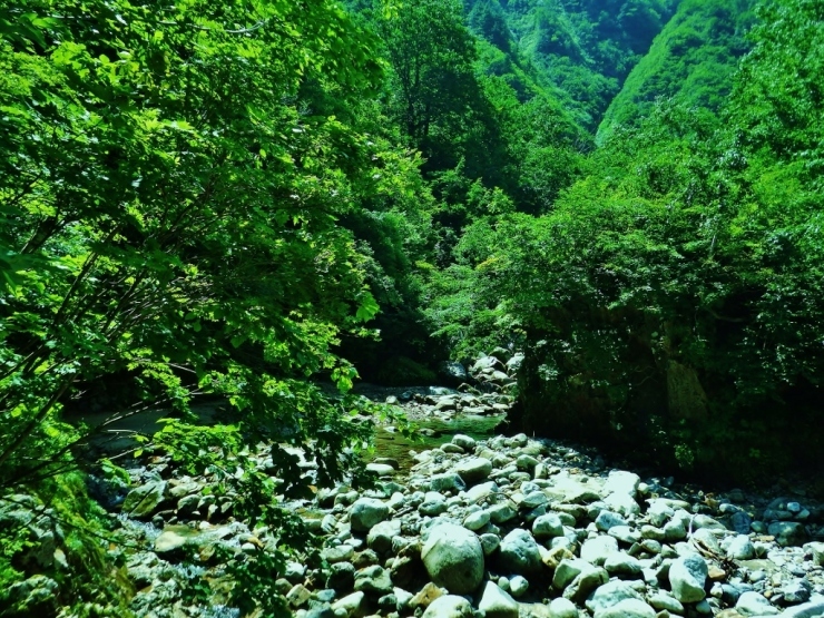 b0321833_23002257.jpg