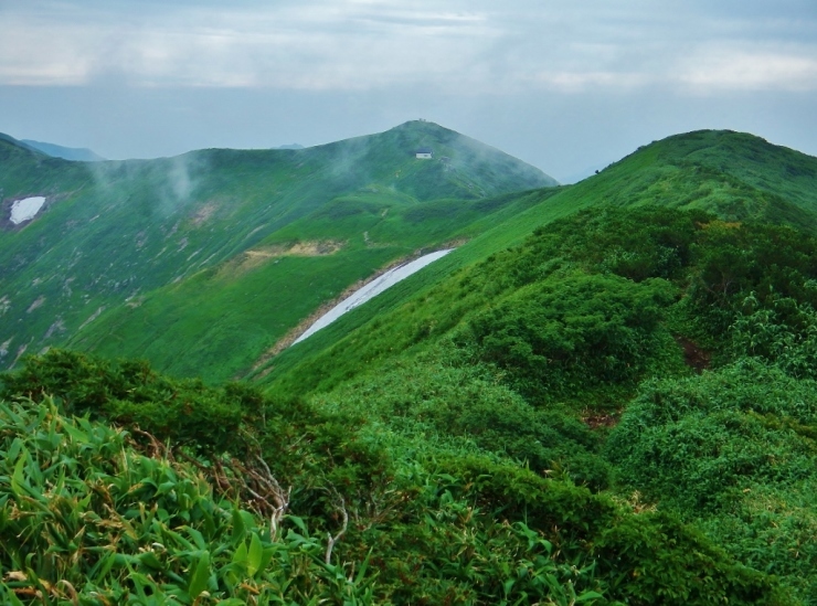 b0321833_23173263.jpg