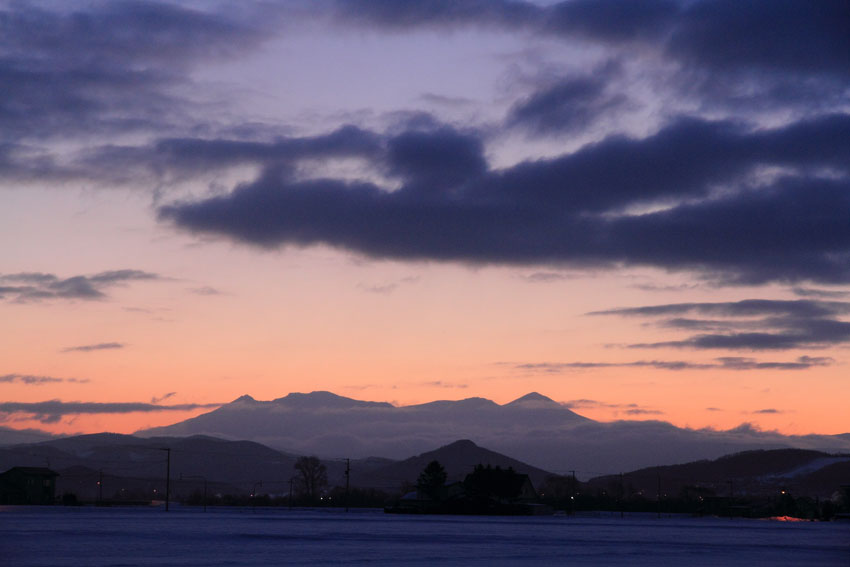 d0069235_7483952.jpg