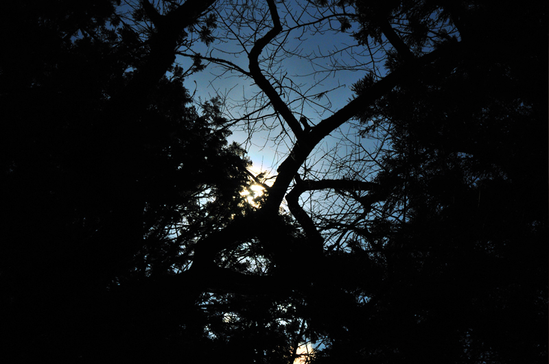 d0018646_2222176.jpg